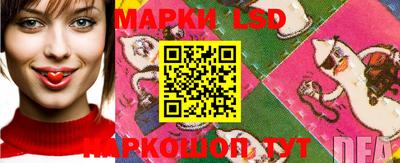 шишки Гатчина