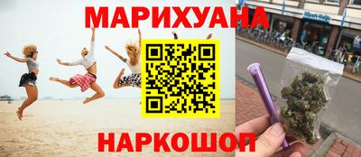 шишки Гатчина
