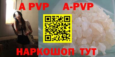 спиды Гагарин