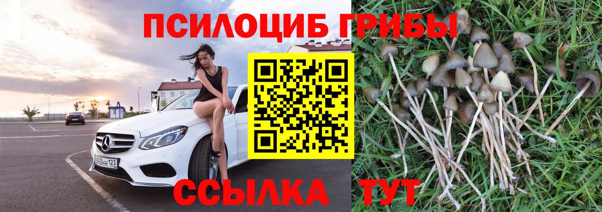 Псилоцибиновые грибы мицелий Мичуринск